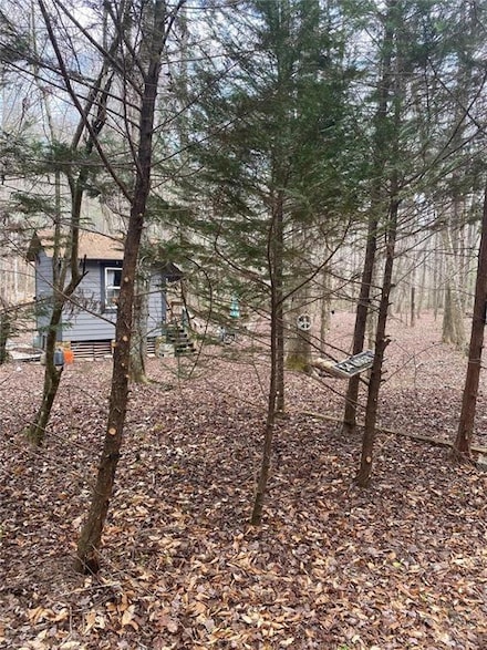 0 Amber Ln Unit 7591084, Ellijay, GA 30540