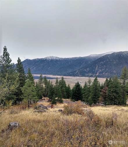 0 Grandview Rd Unit NWM2315543, Ronald, WA 98940