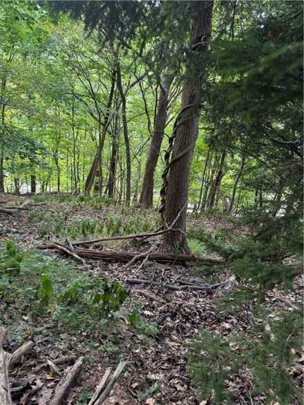 0 Quarry Rd, Sewickley Heights, PA 15143