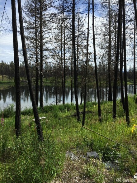 0 Emerald Lake Rd Unit 1146846, Okanogan, WA 98840
