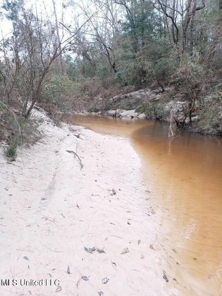 Nhn Rainbow Dr, Perkinston, MS 39573