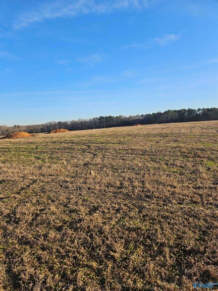 Lot 2 Elkwood Section Rd, Hazel Green, AL 35750