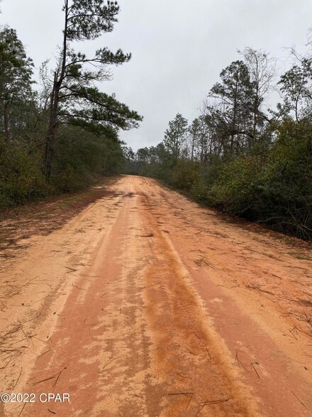 Lot 14 Tamarac Rd, Marianna, FL 32448