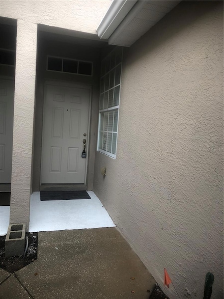 10035 Tranquility Way, Tampa, FL 33625