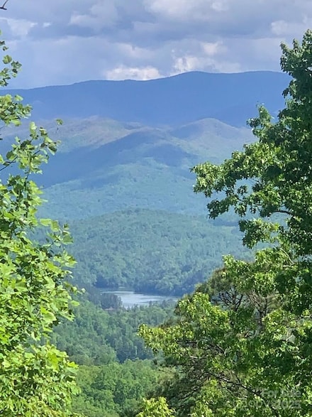 377 Freeman Overlook, Almond, NC 28702