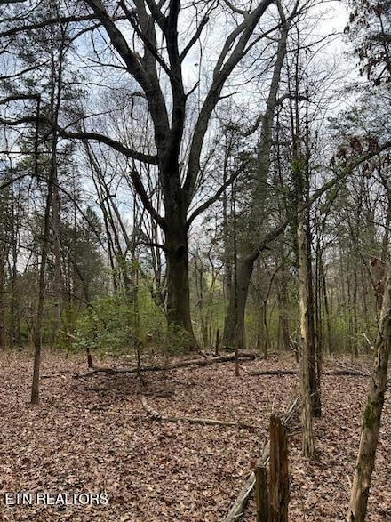 907 Stephanie Ln, Athens, TN 37303