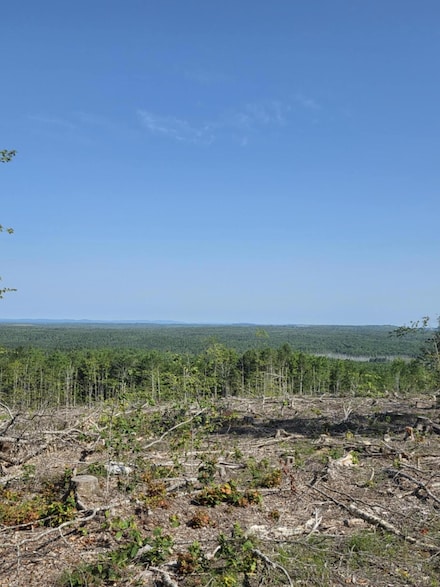 Lot #11 Tower Rd, Cooper, ME 04657