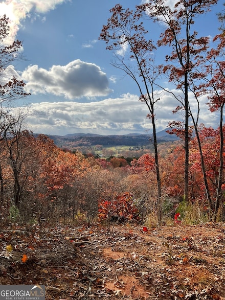 0 Lynn Dr, Clayton, GA 30525