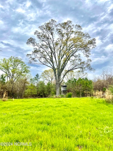 908 Indian Woods Rd, Lewiston Woodville, NC 27849