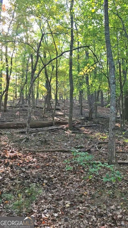 315 Windflower Dr, Dawsonville, GA 30534