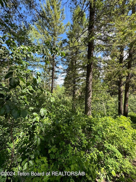 313 Stoor Dr, Alpine, WY 83128