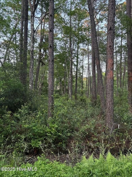3 Thicketwood Dr, Carolina Shores, NC 28467