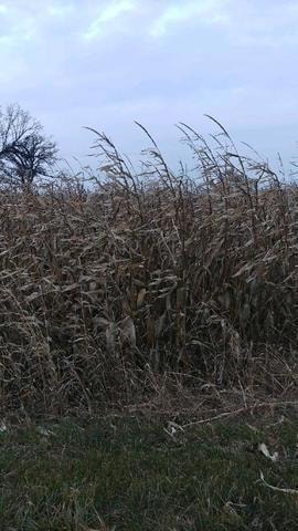 000 E 29th Rd, Sandwich, IL 60548