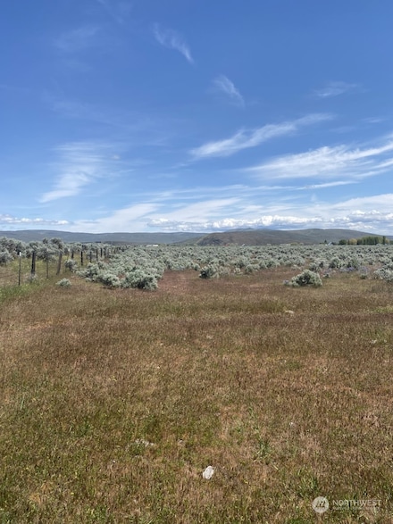 3 A Lester Rd, Ellensburg, WA 98926
