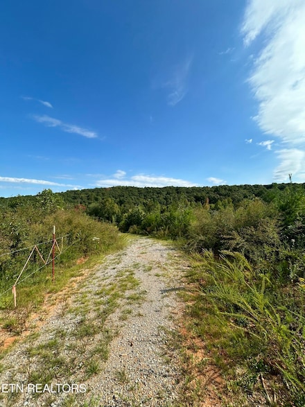 0 Maple Grove Rd, Ten Mile, TN 37880