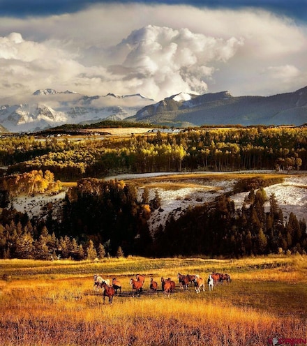 DRR Last Dollar Rd, Telluride, CO 81435