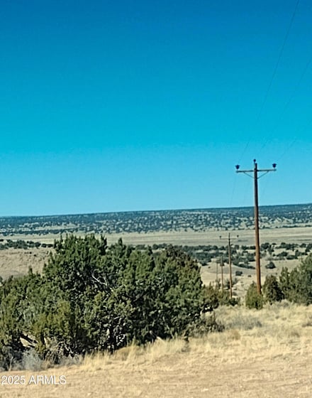 Lot 1096 Woodland Valley Ranch -- Unit 1096, Saint Johns, AZ 85936