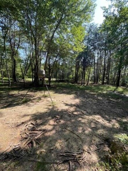 000 College Rd, Phil Campbell, AL 35581