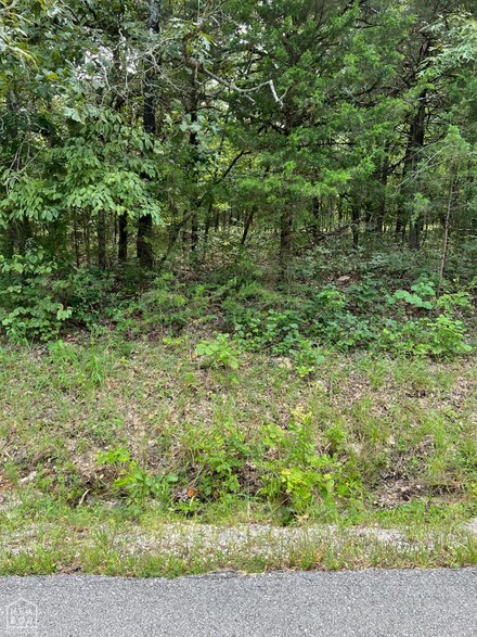 807 W Tri Lakes Dr, Horseshoe Bend, AR 72512