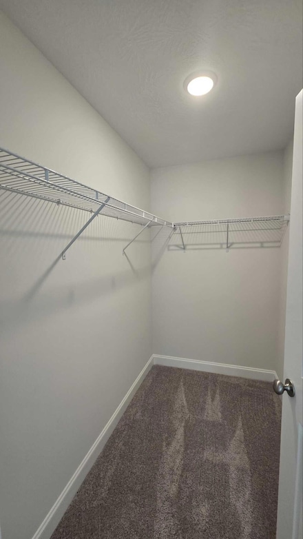 119 Lanier Rd, Beech Island, SC 29842