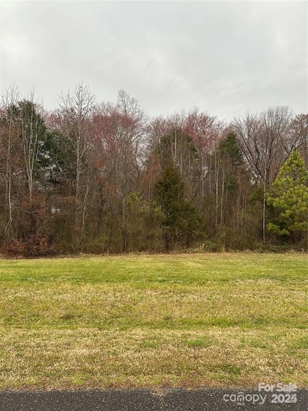 130 Belmont Place, Rockwell, NC 28138
