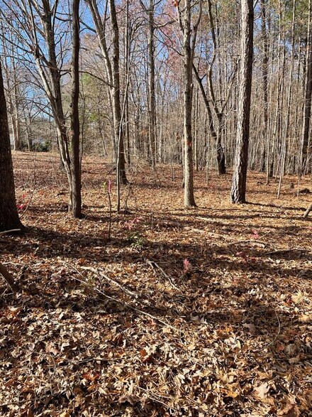 Acreage Mt Ararat Rd, Clarksville, VA 23927