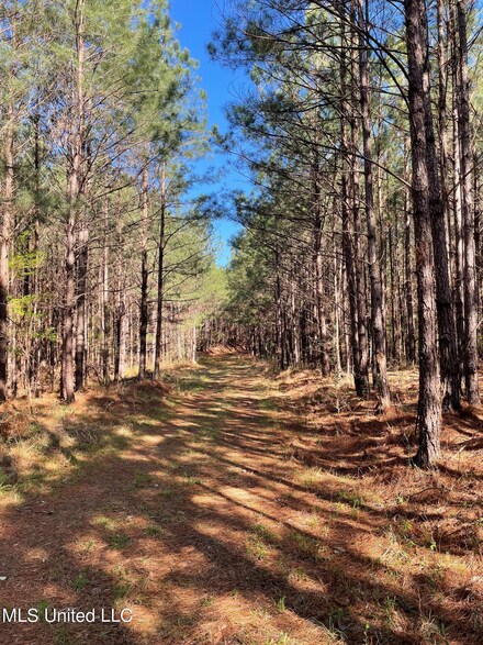0 Sumrall Rd Unit 4013412, Crystal Springs, MS 39059