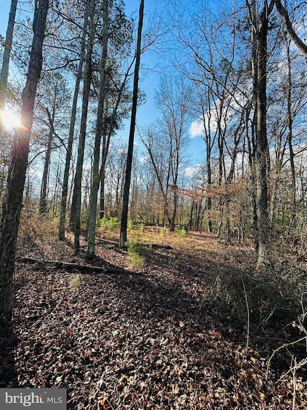 7005 Floral Park Rd, Brandywine, MD 20613