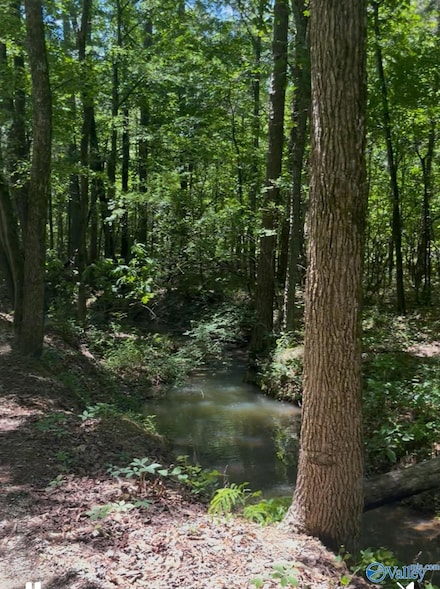 5 acres Owls Hollow Rd, Gadsden, AL 35901