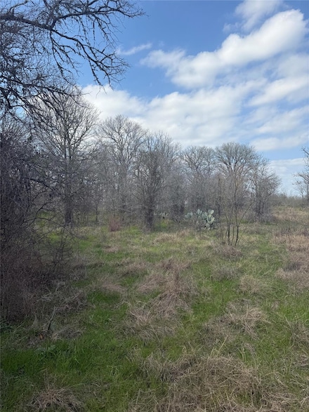 1904 Jasper St, Bastrop, TX 78602