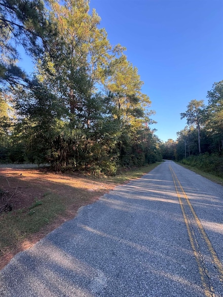 153 Davidson St, Quincy, FL 32351