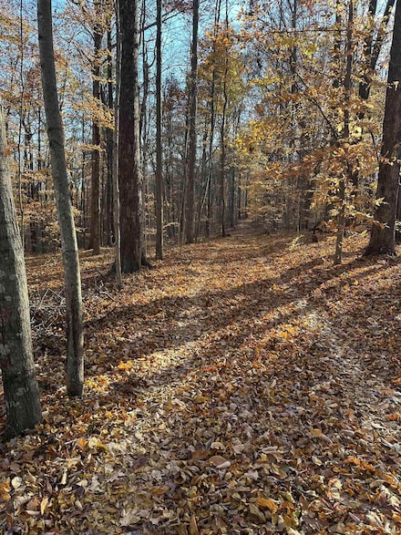 0000 S 1175 Rd, Cloverdale, IN 46120