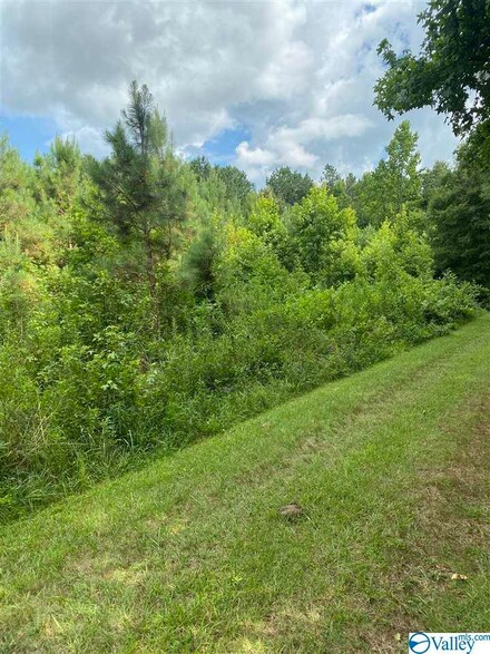 0 Norman Ln Unit 1786734, Elkmont, AL 35620