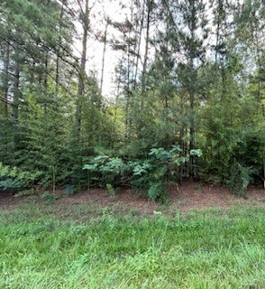 0 S Side Unit 80222884, Woodville, TX 75979
