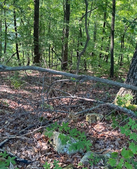 0 Lakeview Dr Unit 228060, Smithville, TN 37166