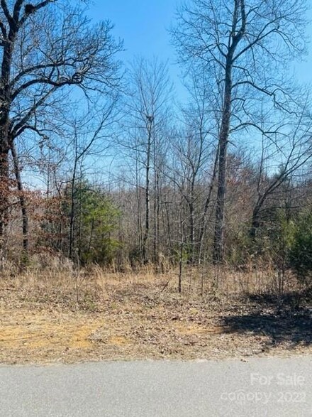 2906 Drummond St, Connellys Springs, NC 28612