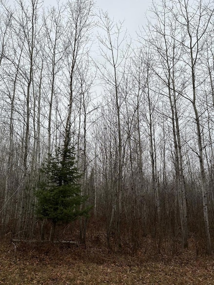 ON Burrows Lake Rd Unit 4067-F, Tomahawk, WI 54487