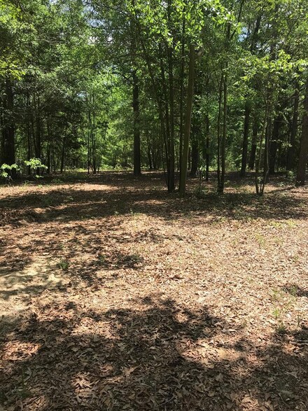 1800 Harbuck Pond Rd, Buena Vista, GA 31803
