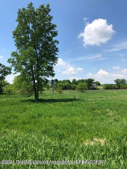 0 Wright Rd, Leslie, MI 49251