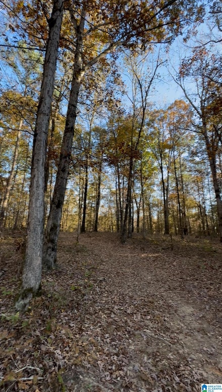 10000 Alabama 216, Lake View, AL 35111