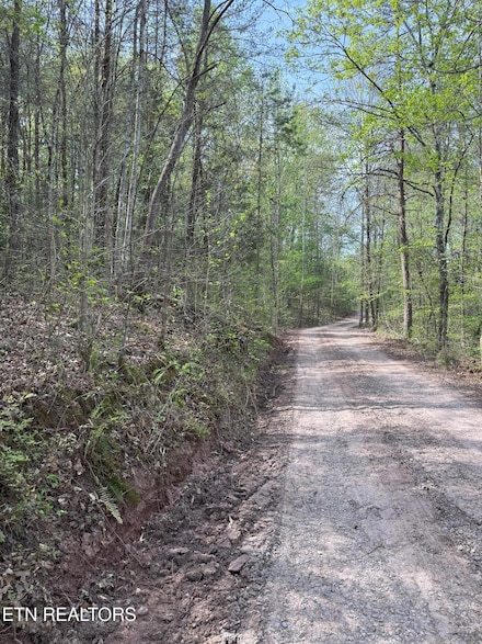 0 Citico Rd Unit 1298027, Vonore, TN 37885