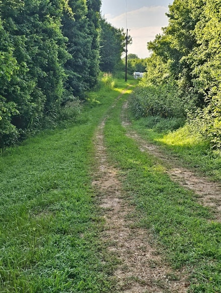1624 Shiloh Rd, Covington, TN 38019