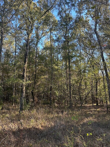0 Mt Carmel Rd Unit 22097682, Millry, AL 36558