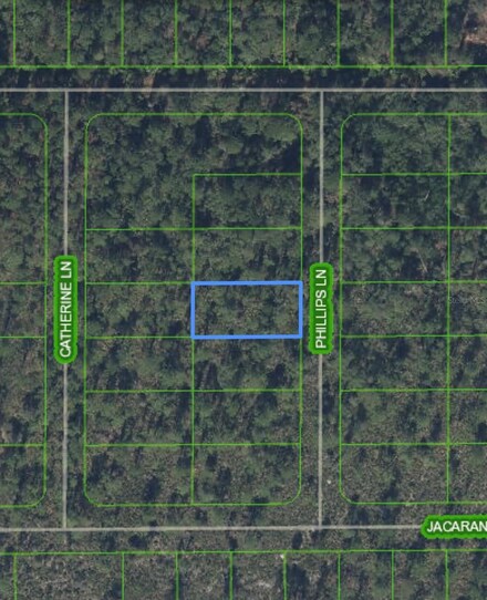 LOT 11 Phillips Rd, Lake Placid, FL 33852