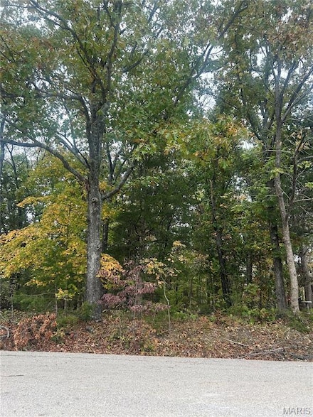 0 Ridgecrest Dr Unit MIS25071460, Hillsboro, MO 63050