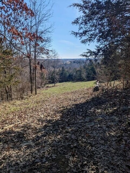 0 Fishing Creek Rd Unit 625775, Falmouth, KY 41040