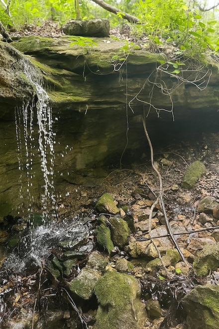 000 State Highway Z, Falcon, MO 65470