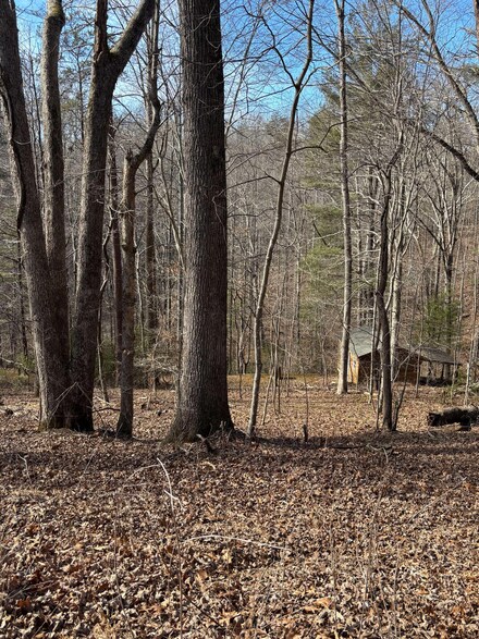 0 Thrasher Ln, Goodview, VA 24095