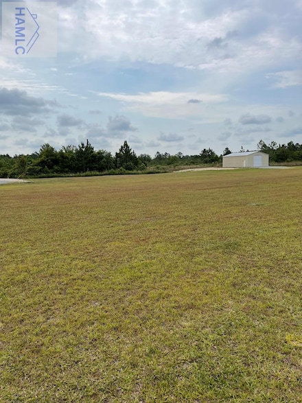 0 Collins Loop, Odum, GA 31555