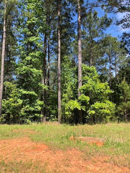 LOT 3 C Lighthouse Pointe, Lincolnton, GA 30817